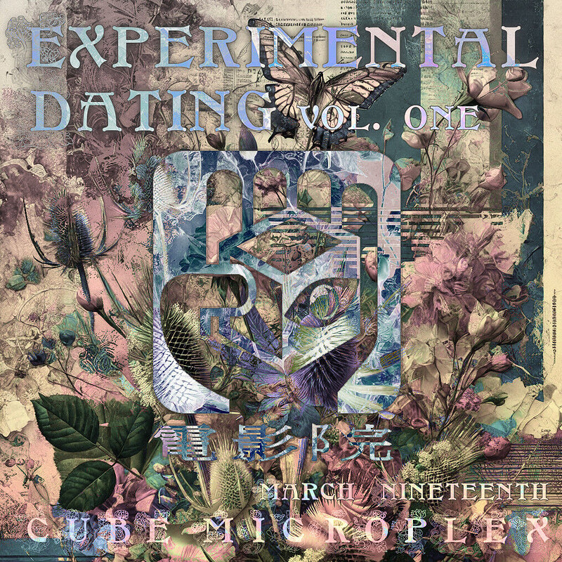 Experimental Dating Vol 1: My Wingman and Me flyer